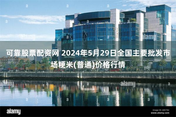 可靠股票配资网 2024年5月29日全国主要批发市场粳米(普通)价格行情