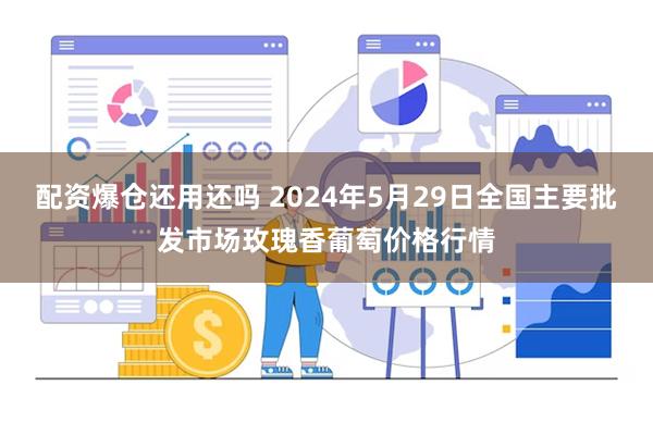 配资爆仓还用还吗 2024年5月29日全国主要批发市场玫瑰香葡萄价格行情