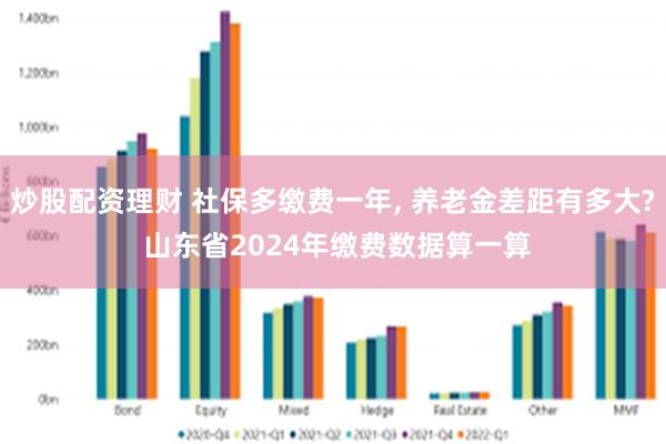 炒股配资理财 社保多缴费一年, 养老金差距有多大? 山东省2024年缴费数据算一算