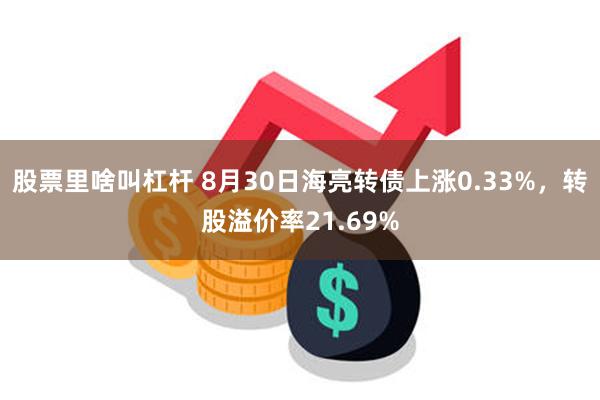 股票里啥叫杠杆 8月30日海亮转债上涨0.33%，转股溢价率21.69%