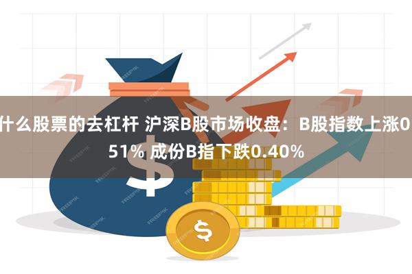 什么股票的去杠杆 沪深B股市场收盘：B股指数上涨0.51% 成份B指下跌0.40%