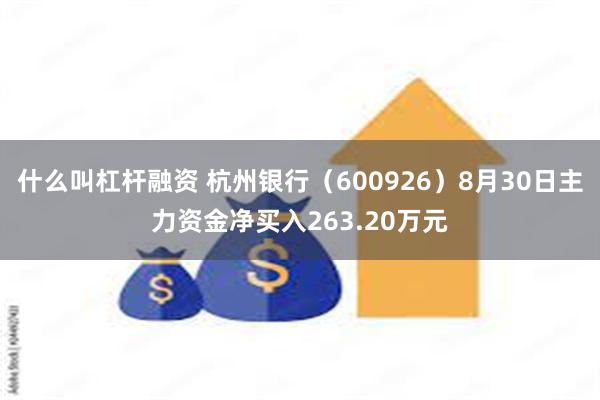 什么叫杠杆融资 杭州银行（600926）8月30日主力资金净买入263.20万元