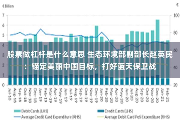 股票做杠杆是什么意思 生态环境部副部长赵英民：锚定美丽中国目标，打好蓝天保卫战