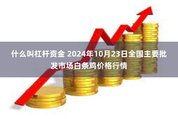 什么叫杠杆资金 2024年10月23日全国主要批发市场白条鸡价格行情