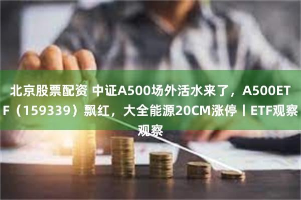 北京股票配资 中证A500场外活水来了，A500ETF（159339）飘红，大全能源20CM涨停丨ETF观察