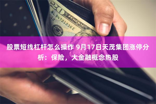 股票短线杠杆怎么操作 9月17日天茂集团涨停分析：保险，大金融概念热股