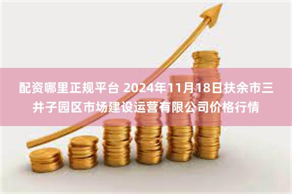 配资哪里正规平台 2024年11月18日扶余市三井子园区市场建设运营有限公司价格行情