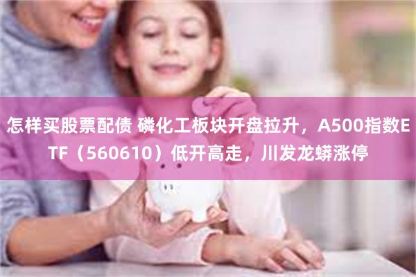 怎样买股票配债 磷化工板块开盘拉升，A500指数ETF（560610）低开高走，川发龙蟒涨停