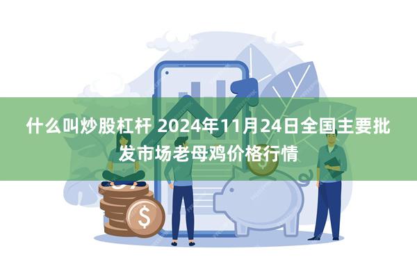 什么叫炒股杠杆 2024年11月24日全国主要批发市场老母鸡价格行情