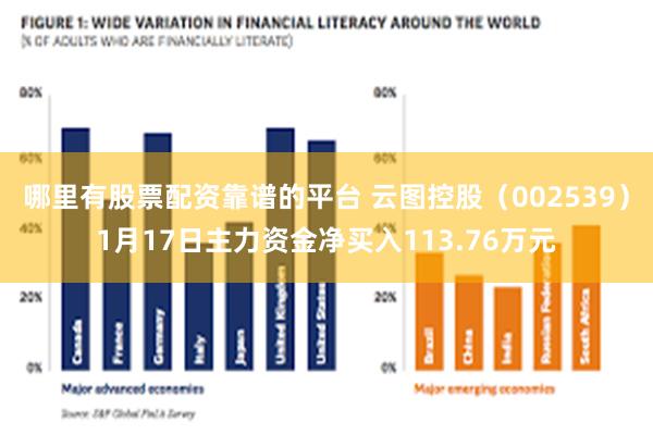 哪里有股票配资靠谱的平台 云图控股（002539）1月17日主力资金净买入113.76万元