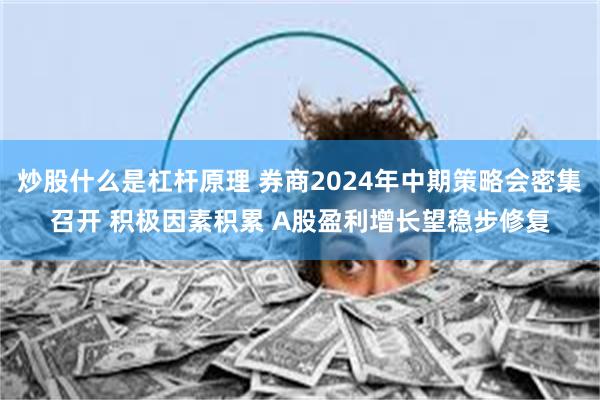 炒股什么是杠杆原理 券商2024年中期策略会密集召开 积极因素积累 A股盈利增长望稳步修复