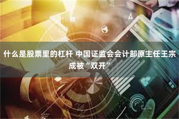 什么是股票里的杠杆 中国证监会会计部原主任王宗成被“双开”