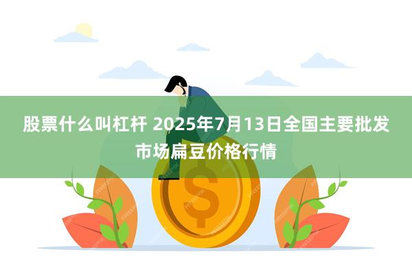 股票什么叫杠杆 2025年7月13日全国主要批发市场扁豆价格行情