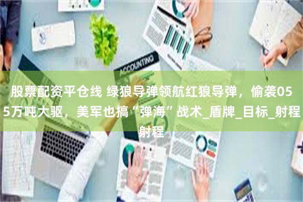 股票配资平仓线 绿狼导弹领航红狼导弹，偷袭055万吨大驱，美军也搞“弹海”战术_盾牌_目标_射程